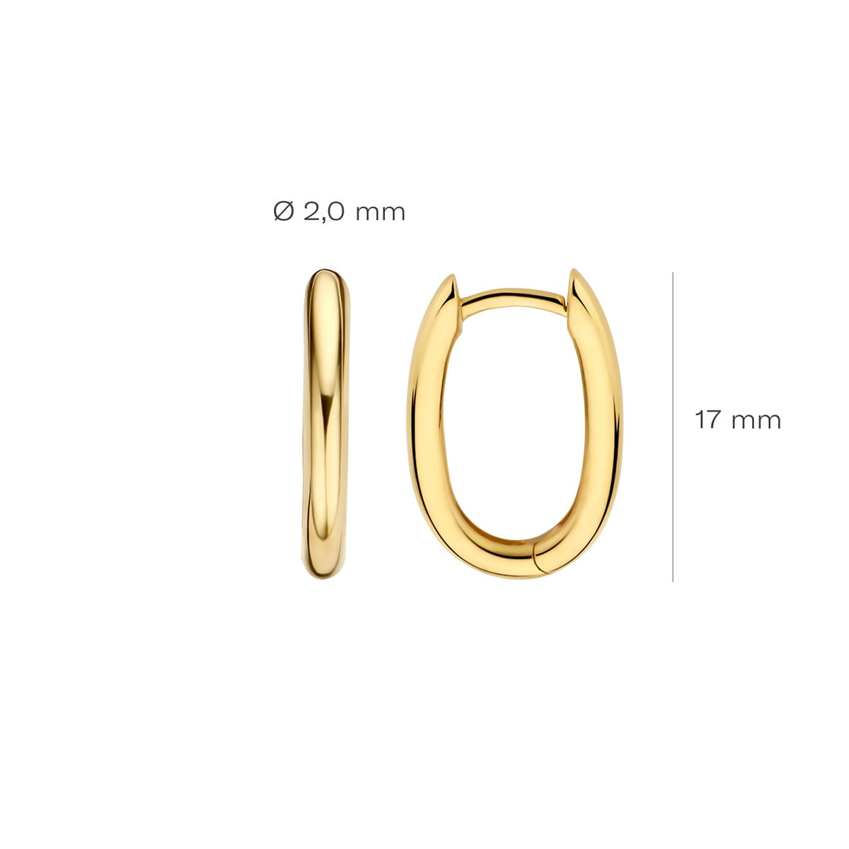 Blush - Boucles d'oreilles créoles - Or Jaune 14k (7219YGO)