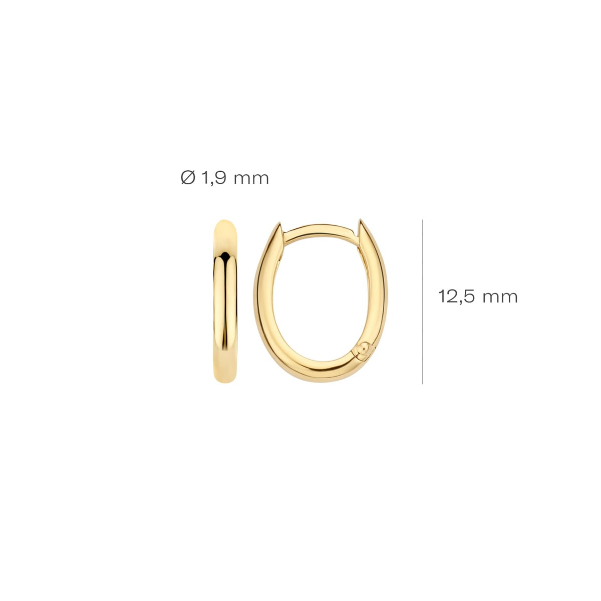 Blush - Boucles d'oreilles créoles - Or Jaune 14k (7224YGO)