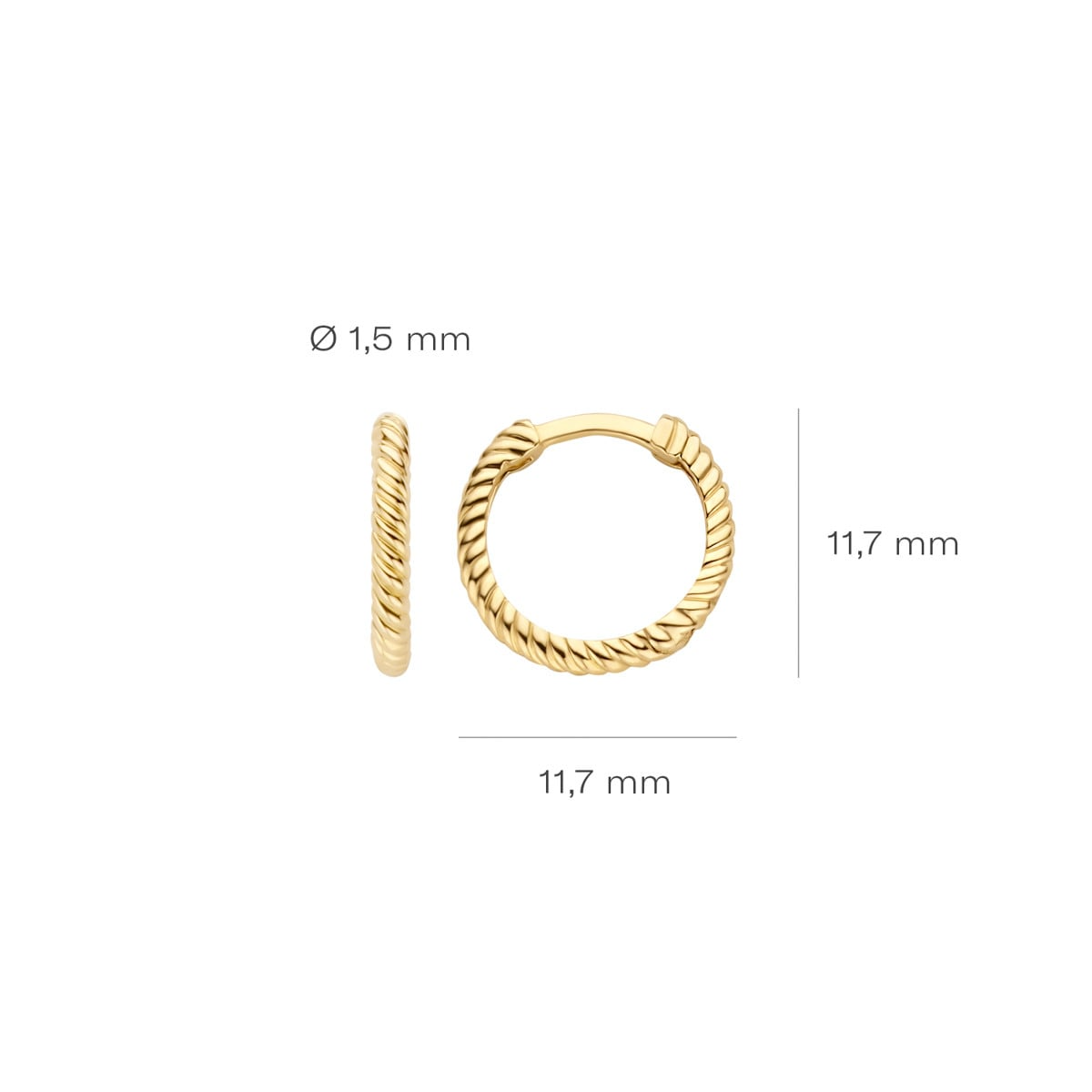 Blush - Boucles d'oreilles créoles - Or Jaune 14k (7266YGO)