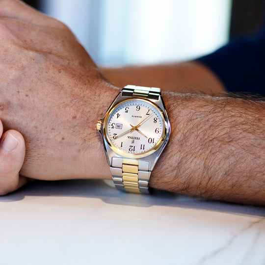 Festina - Classics (F20554/1)