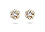 Blush - Boucles d'oreilles - Or Jaune 14k, Zircon (7241YZI)