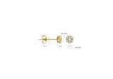 Blush - Boucles d'oreilles - Or Jaune 14k, Zircon (7241YZI)