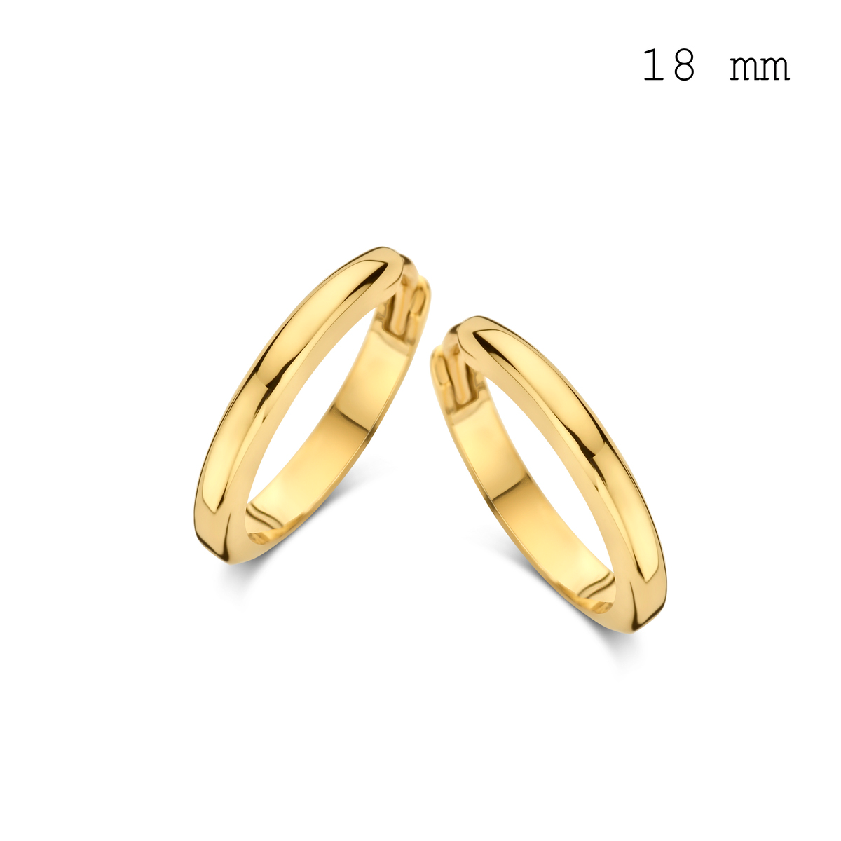 Créoles Boucles d'oreilles Naiomy - Plaqué or (N3W75)