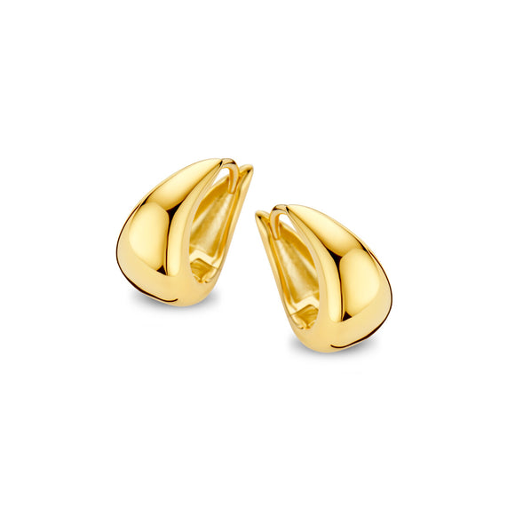 Boucles d'oreilles Naiomy - Plaqué or (N4P55)