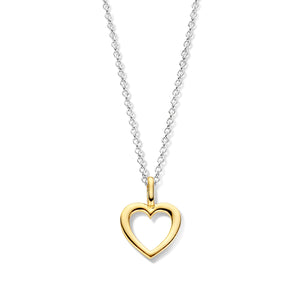 Collier Naiomy Coeur - Argent bicolore (N3O52)