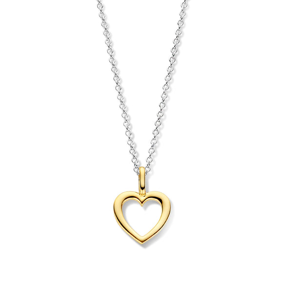Collier Naiomy Coeur - Argent bicolore (N3O52)